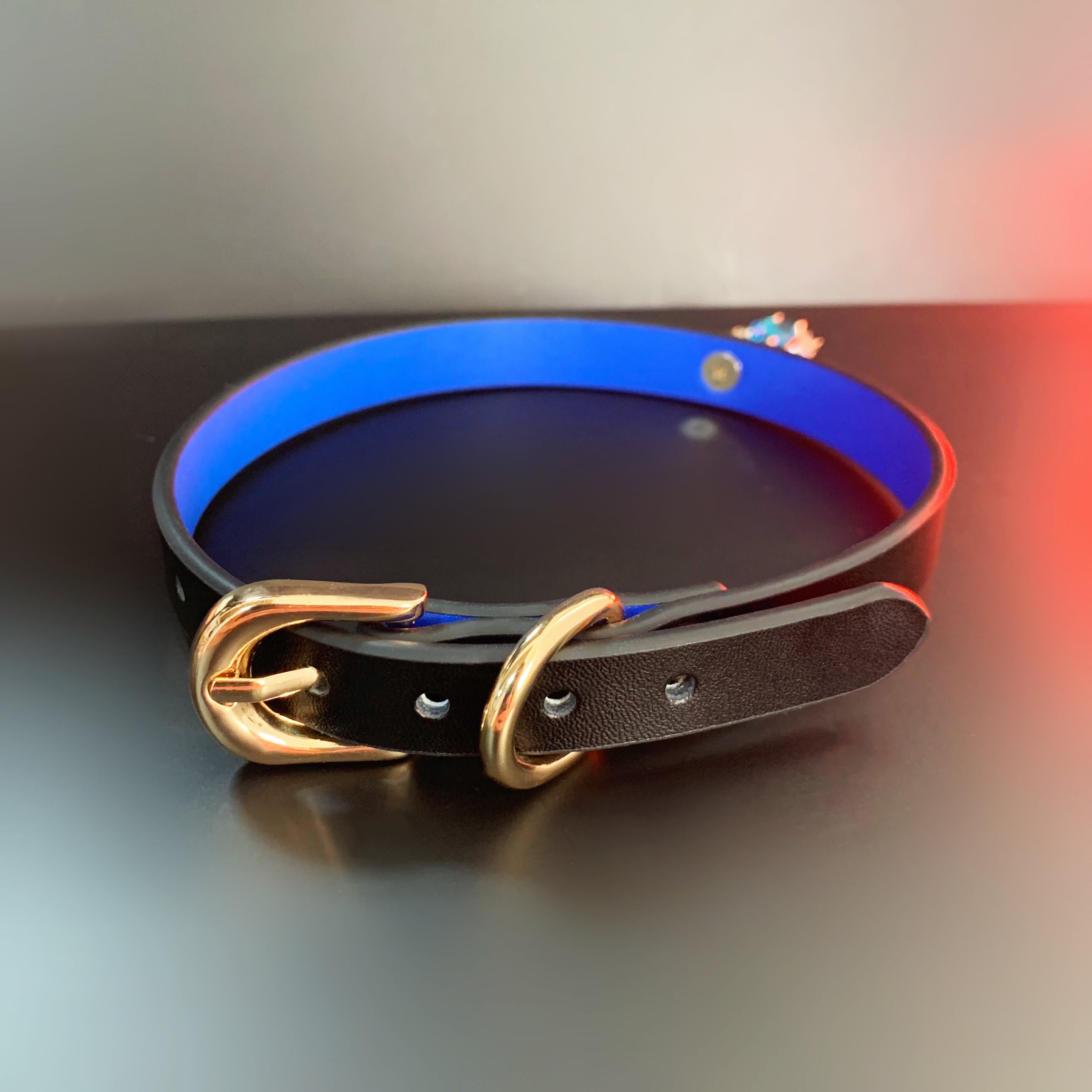 Black Blue Leather Choker & Gold Chain Leash Set