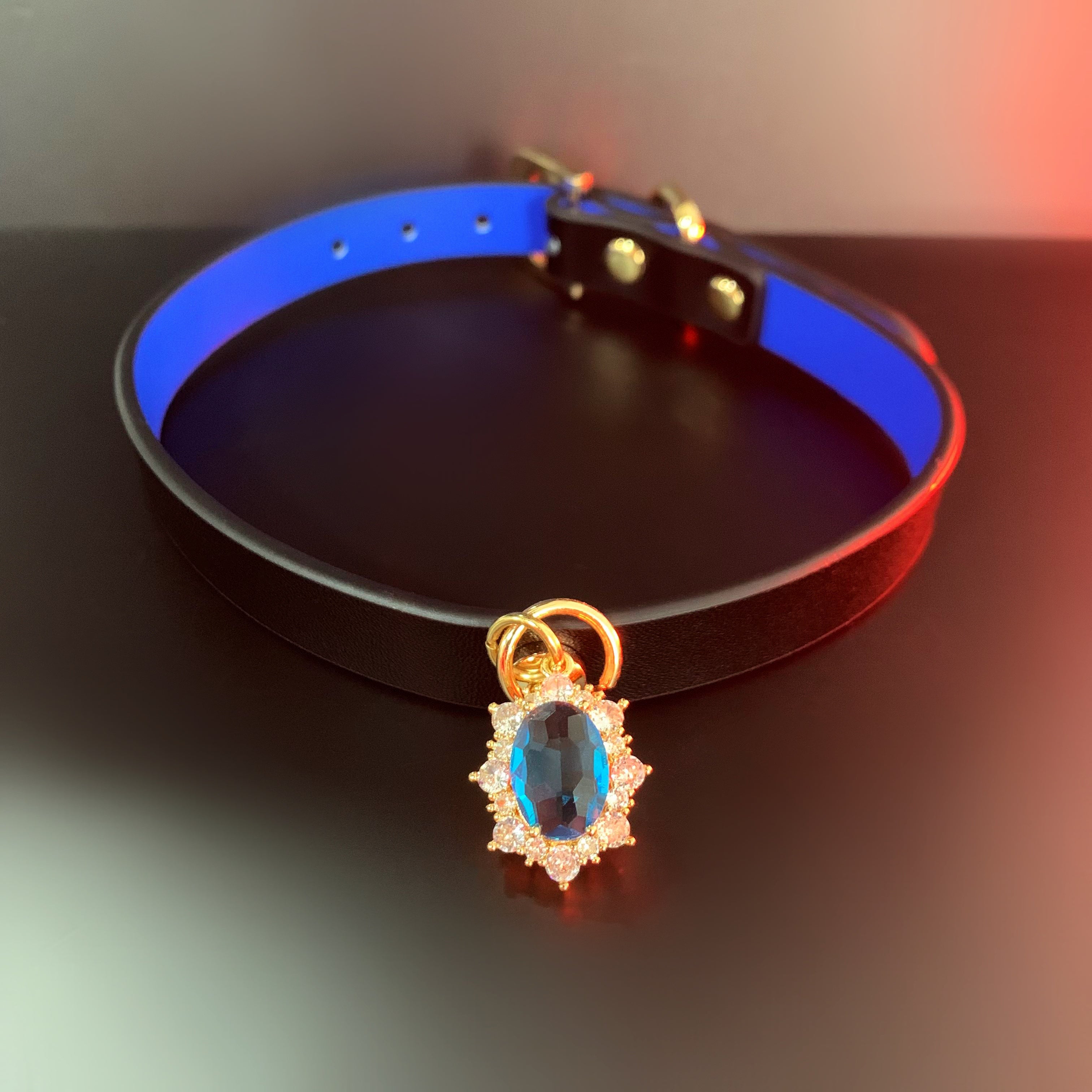 Black Blue Leather Choker & Gold Chain Leash Set