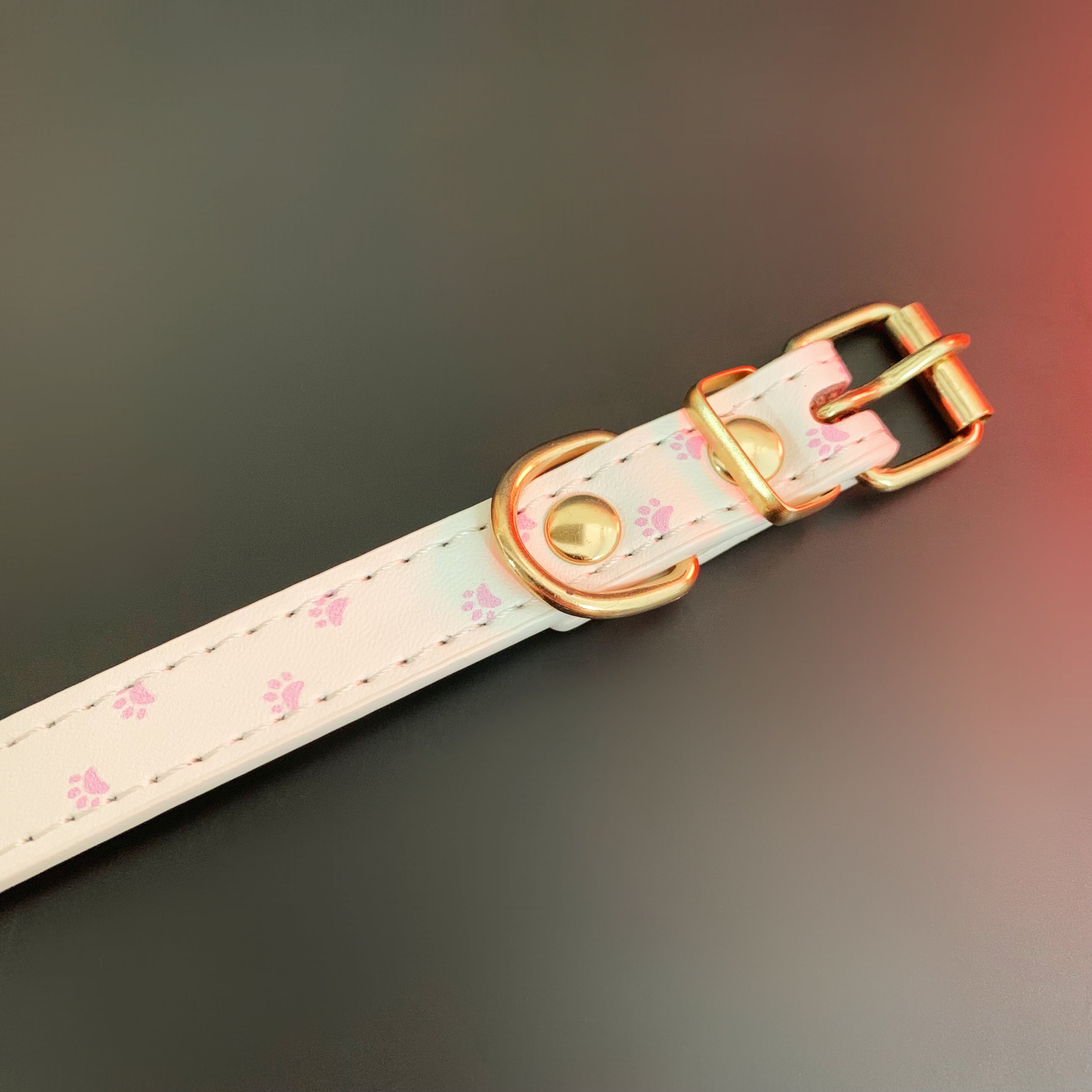 Leather Choker With Paw Print