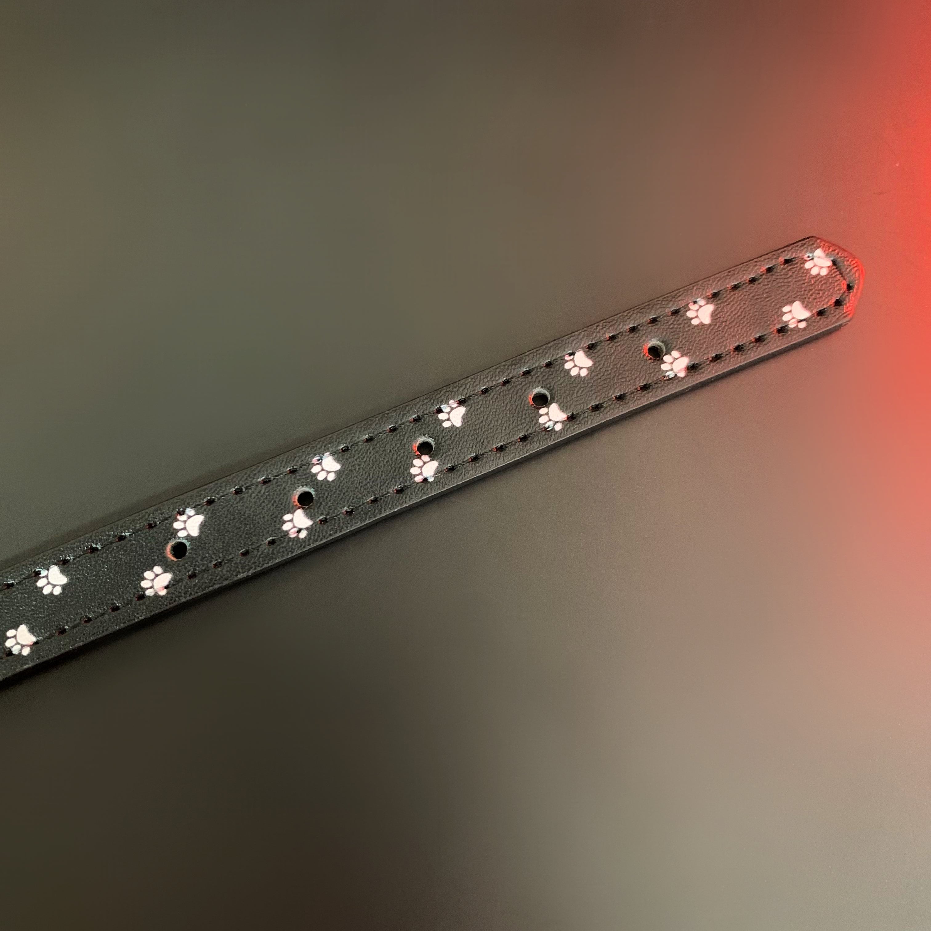 Leather Choker With Paw Print