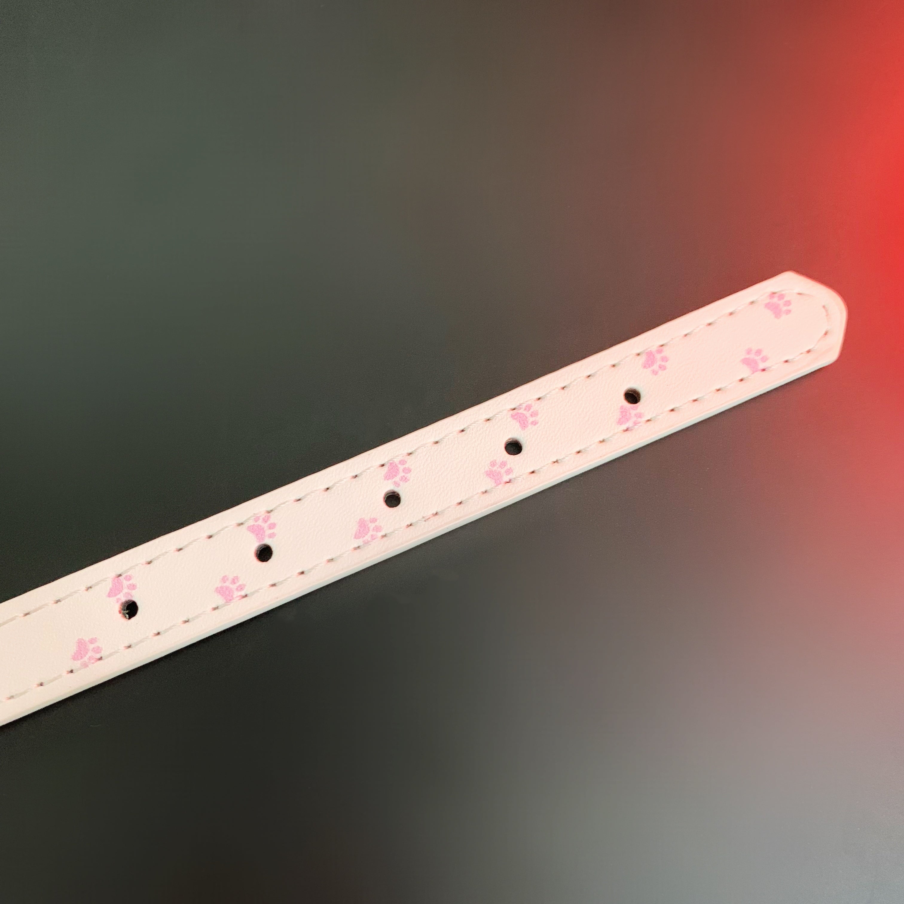 Leather Choker With Paw Print