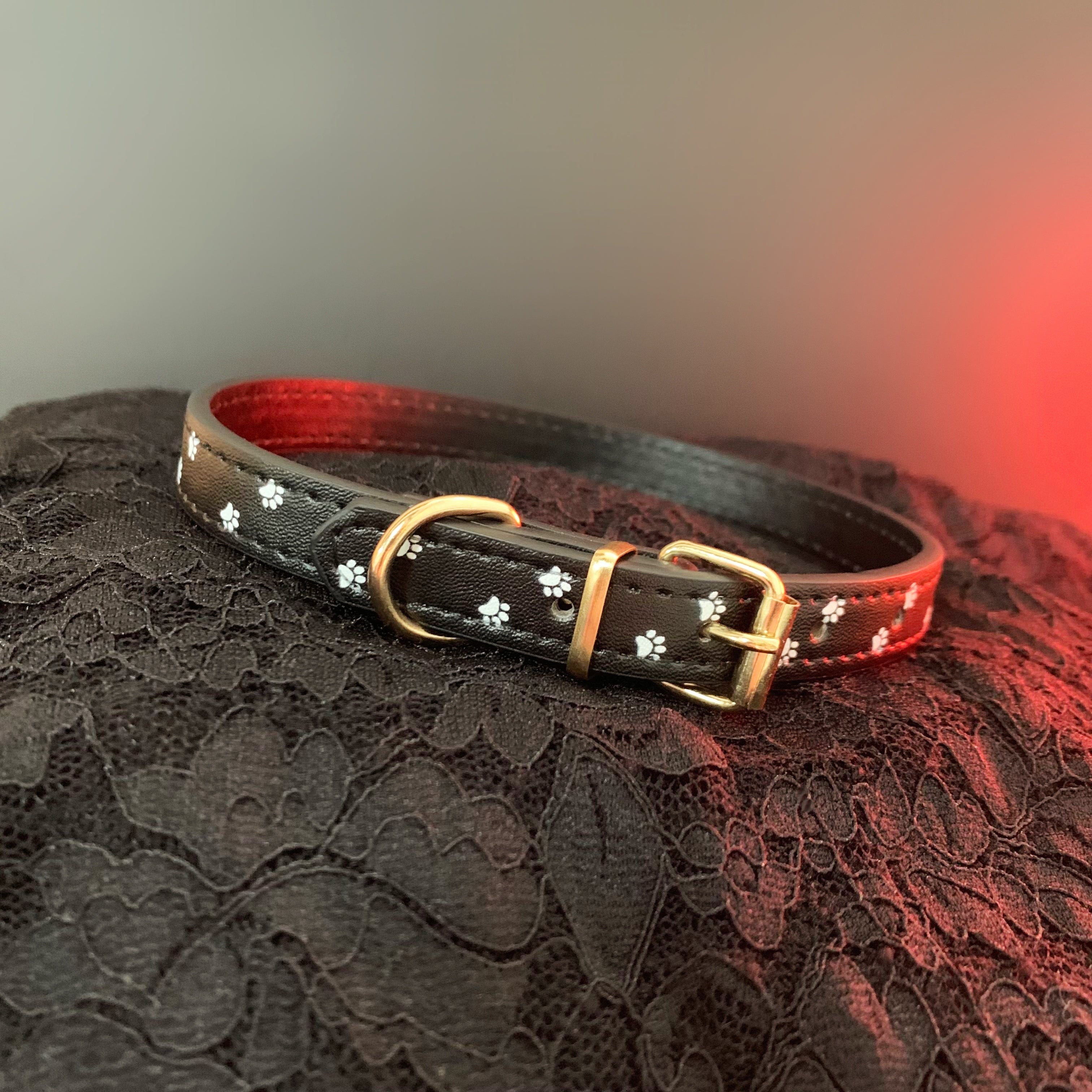 Leather Choker With Paw Print