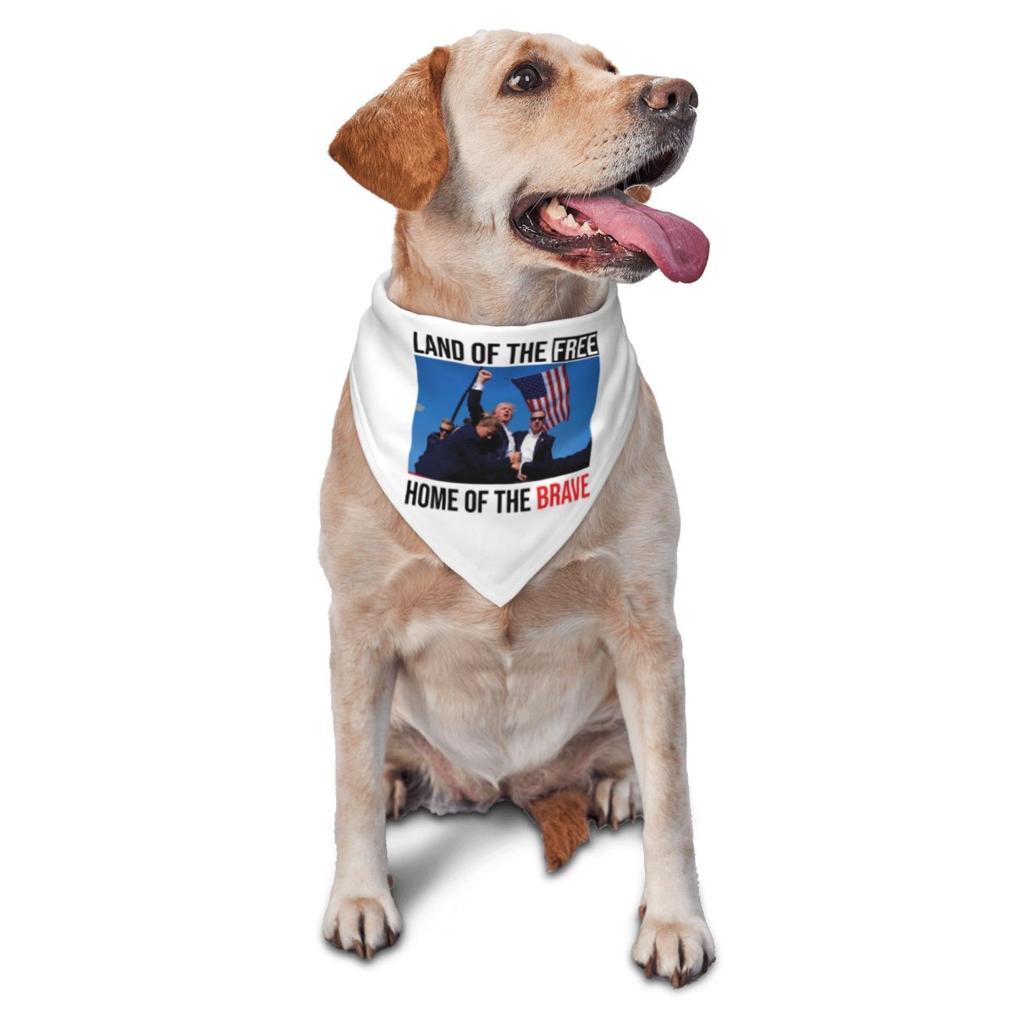 Trump Shirt, Hoodie and Napkin For Dogs