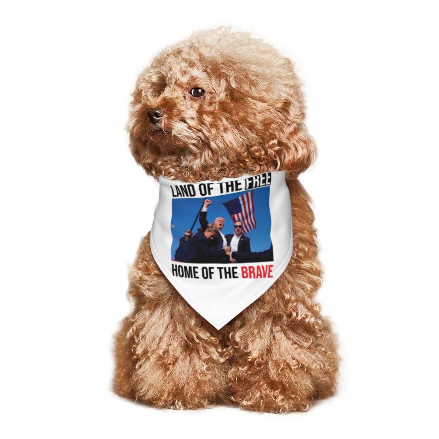 Trump Shirt, Hoodie and Napkin For Dogs